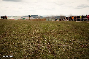  DSC4216-2