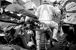  DSC4222-2