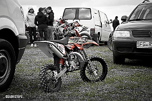  DSC4238-2
